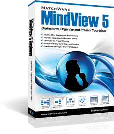MindView 5 Business Edition English 
