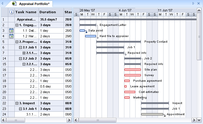 Professional Gantt Chart