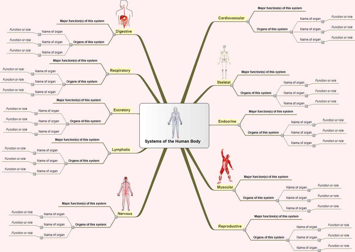 My Power Notes Review – The Internet’s Best Anatomy & Physiology