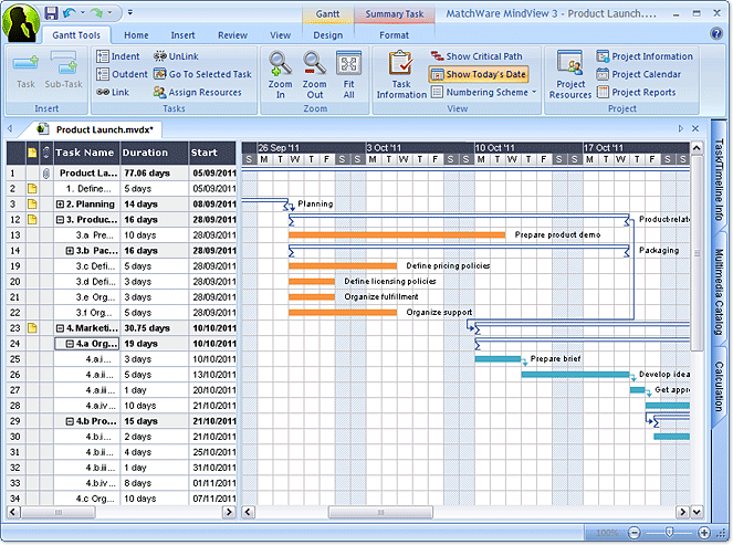 Professional Gantt Chart