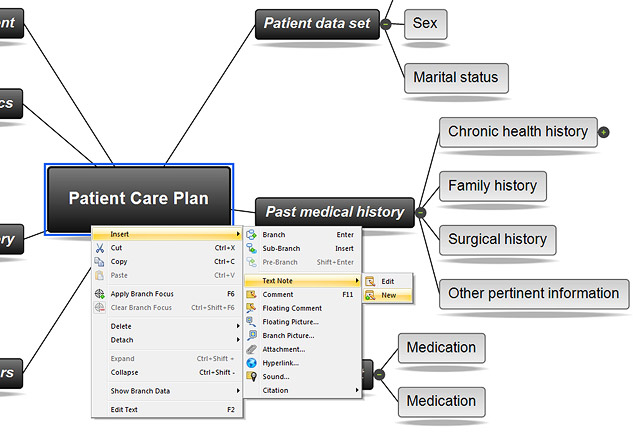 Nursing+Concept+Map+Template png nursing concept map template http apsolutionsltd co uk ka nursing ...
