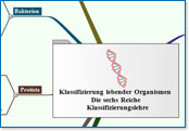 Zum Vergr��ern klicken