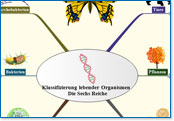 Zum Vergr��ern klicken