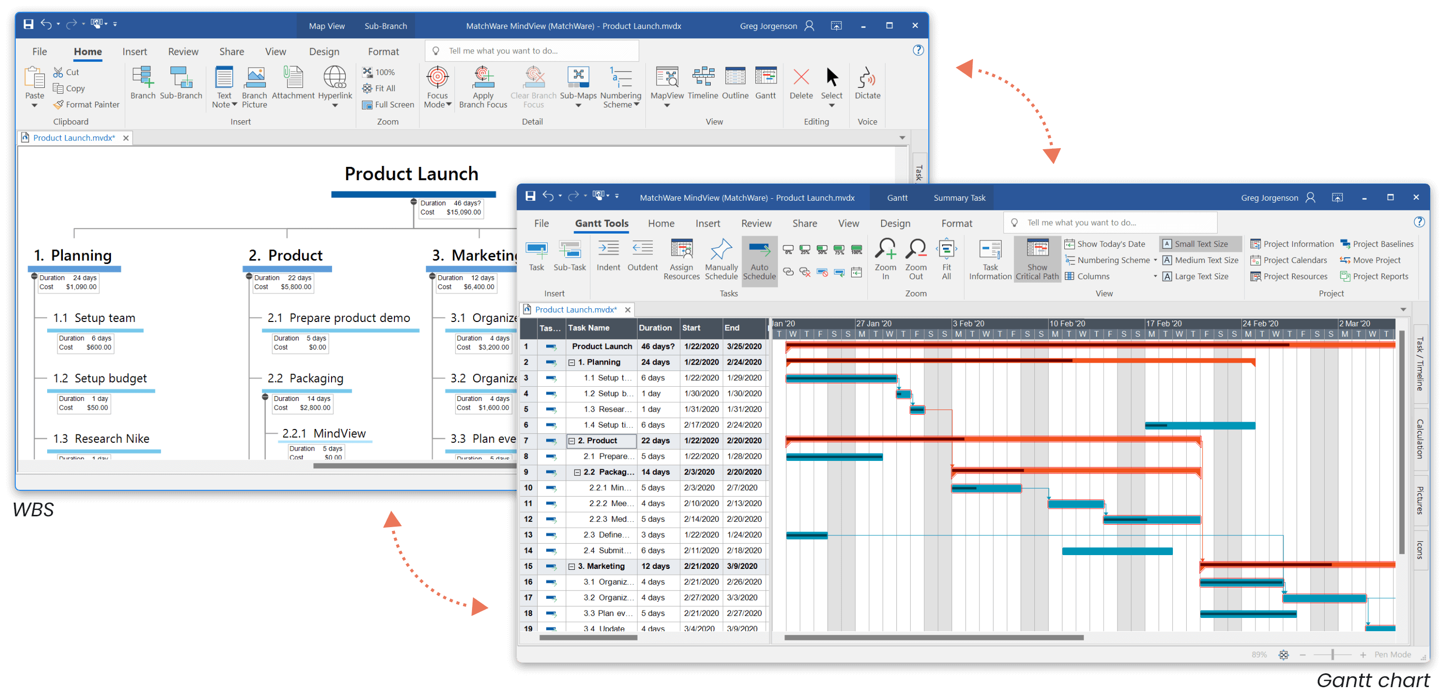 Project management with mind mapping software