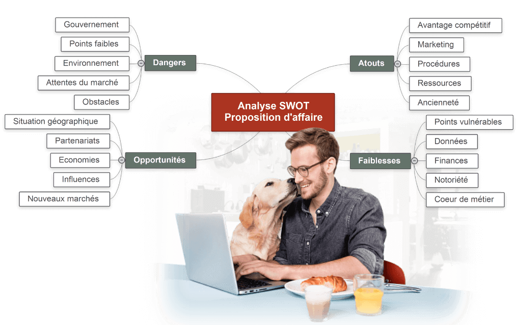 Analyses SWOT avec MindView