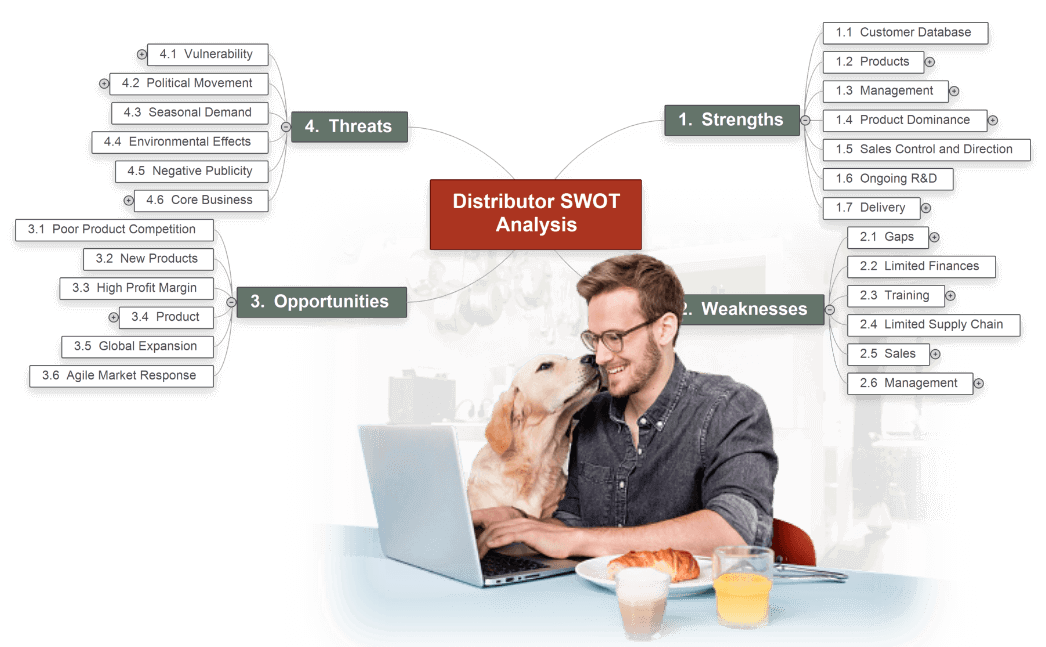 Distributor SWOT Analysis with MindView