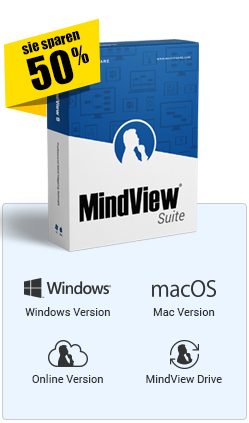 Buy Mindview Online Version