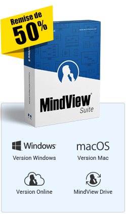 Buy Mindview Online Version