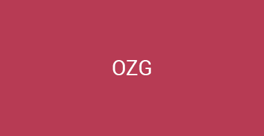 Die Visualisierung des OZG - MindView Case Study