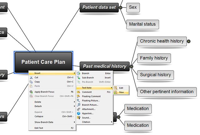 How To Do A Concept Map For Nursing Concept Mapping Software For Nursing | MindView