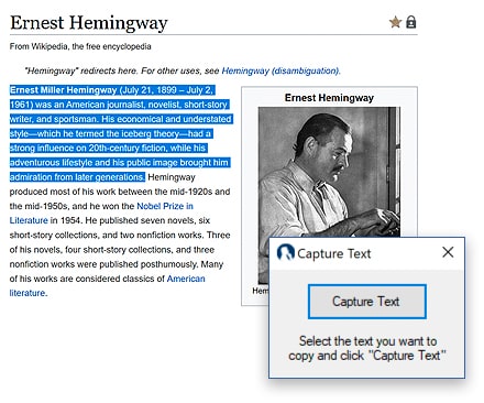 Mind Mapping Software with Research Capture Function