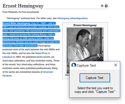 Mind Mapping Software with Research Capture Function
